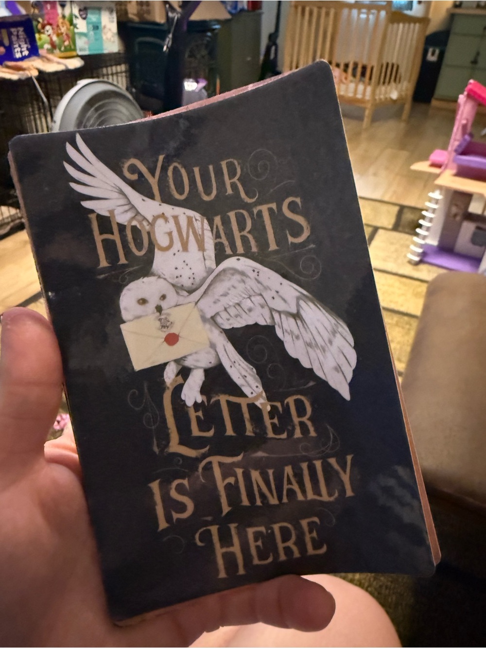 Your Hogwarts Letter Is Finally Here — Navy Blue Owl eBook Reader Insert